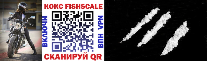 COCAIN Fish Scale  Видное 