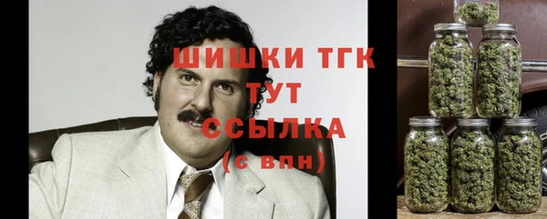 apvp Белокуриха