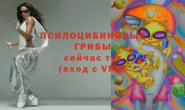 apvp Белокуриха