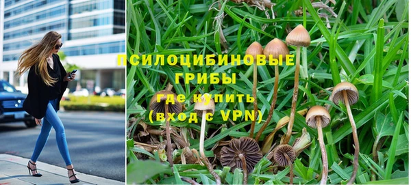 apvp Белокуриха